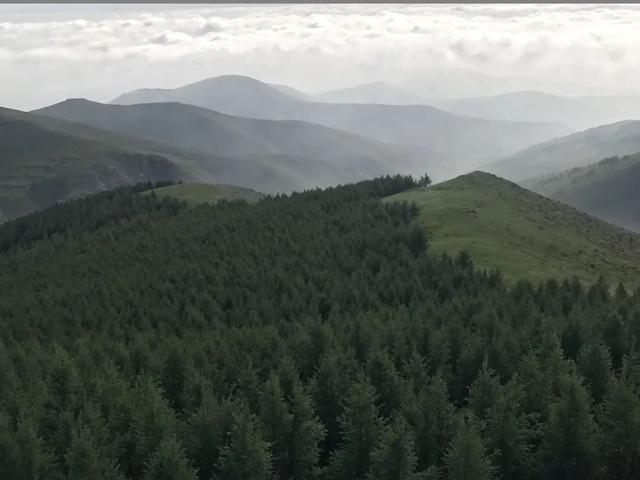 发现京西北 大青山:那是一片森林海