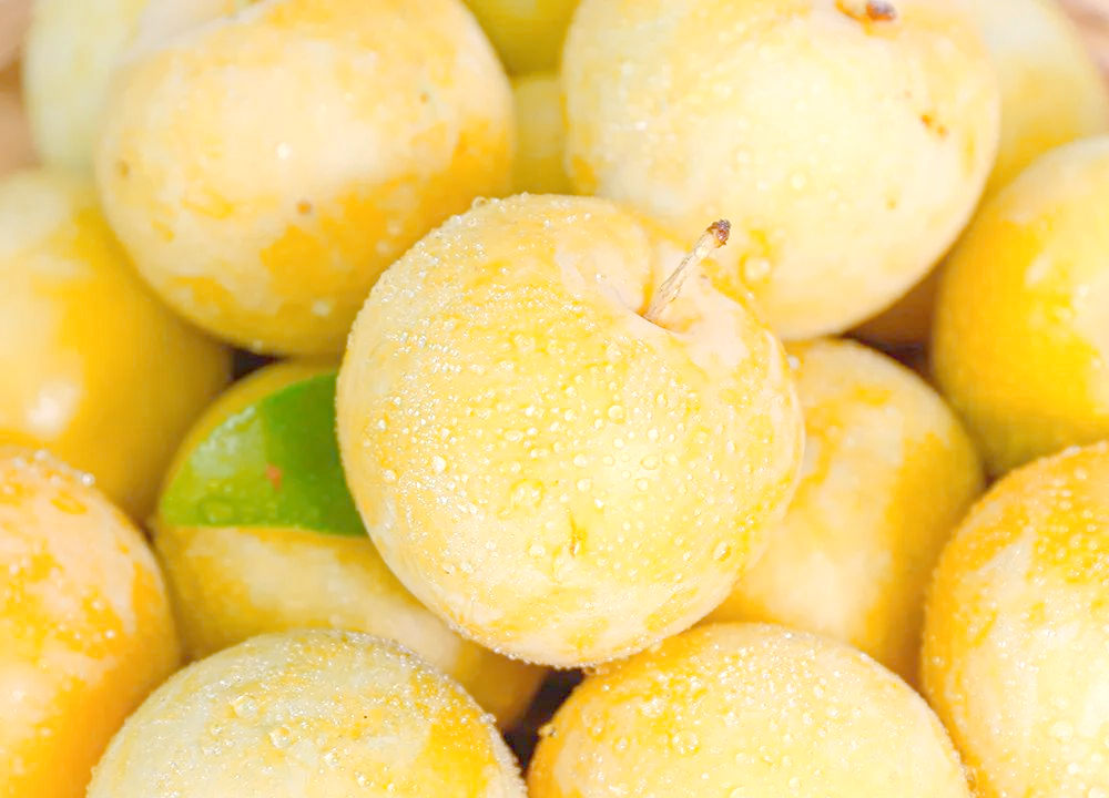 金黄色桃花李,甜如蜂蜜,果肉饱满,汁水丰富,稀有品种,错过再等一年!