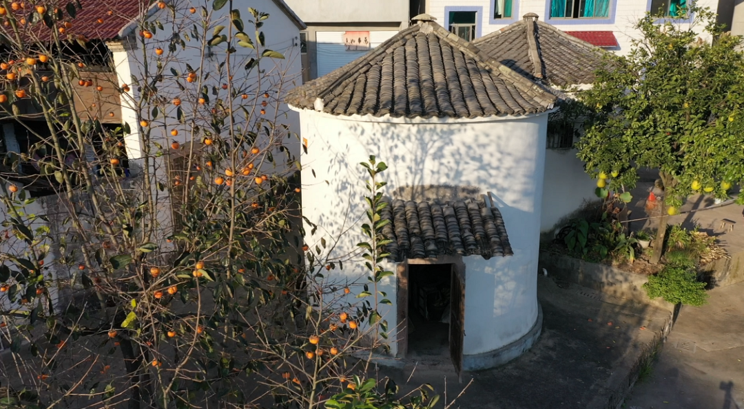 好看!永康象珠镇有个村成了网红打卡点