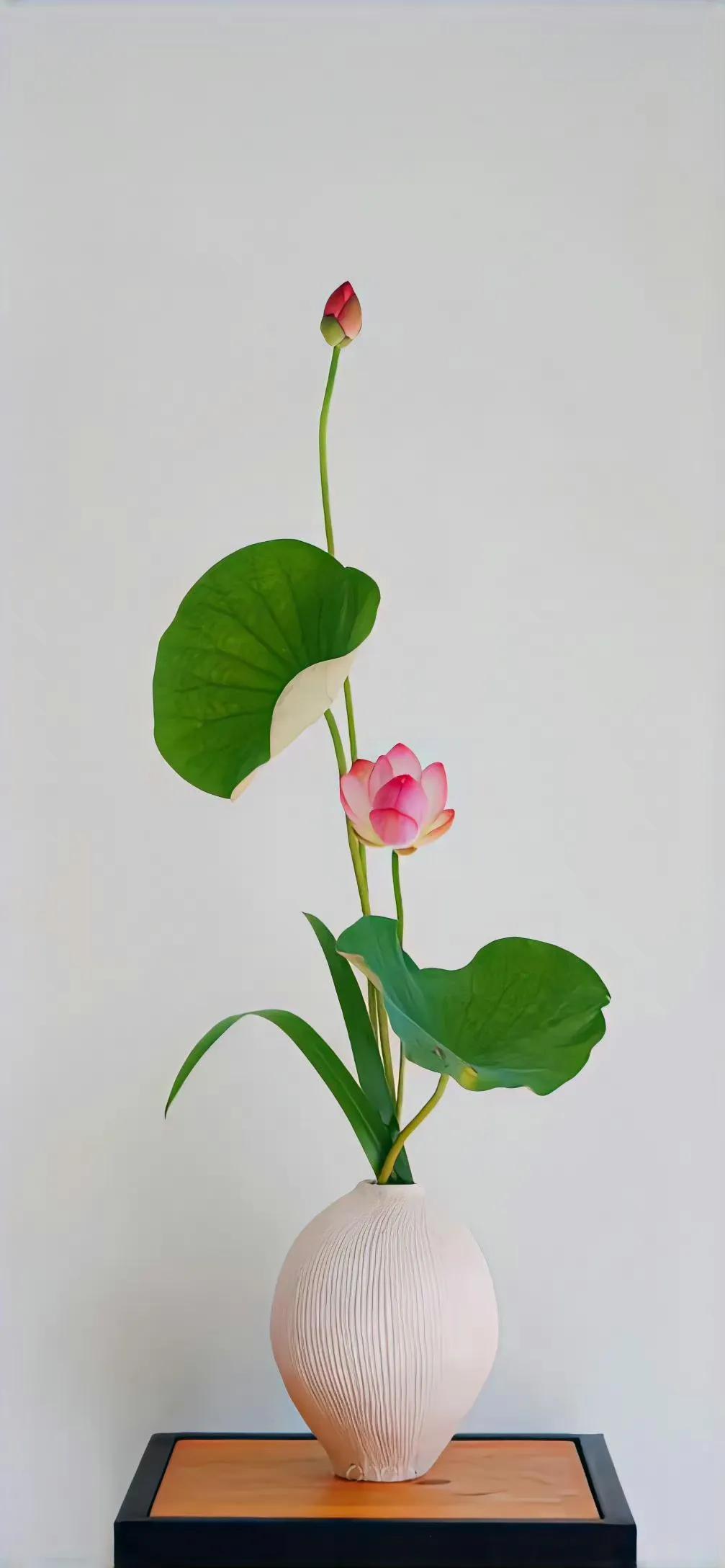 莲花高清壁纸,可以让你好运连连