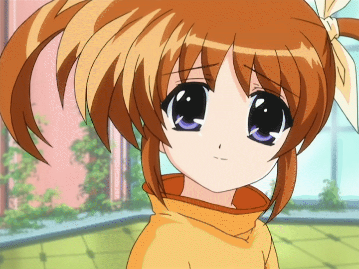 奈叶:菲特是敌人?只是立场不同罢了,迟早她会成为奈叶的后宫