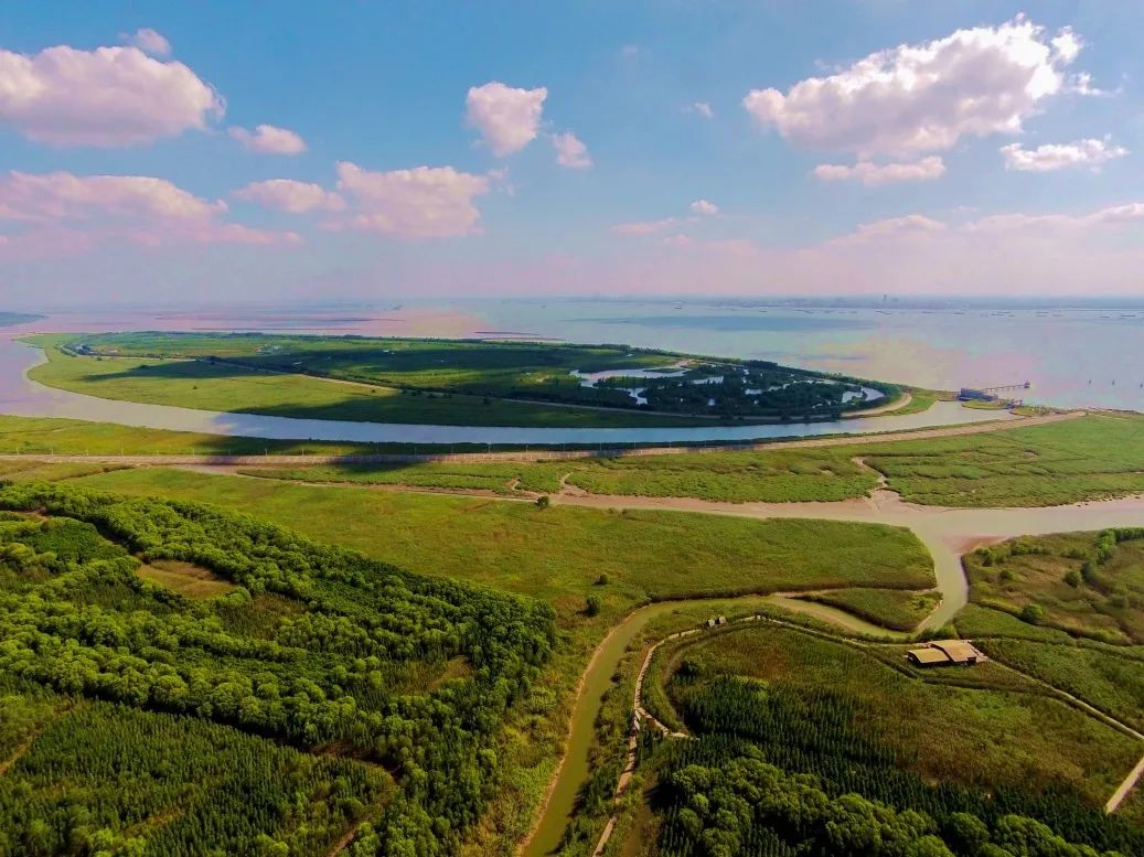【世界湿地日】走得进的身边湿地——西沙湿地公园