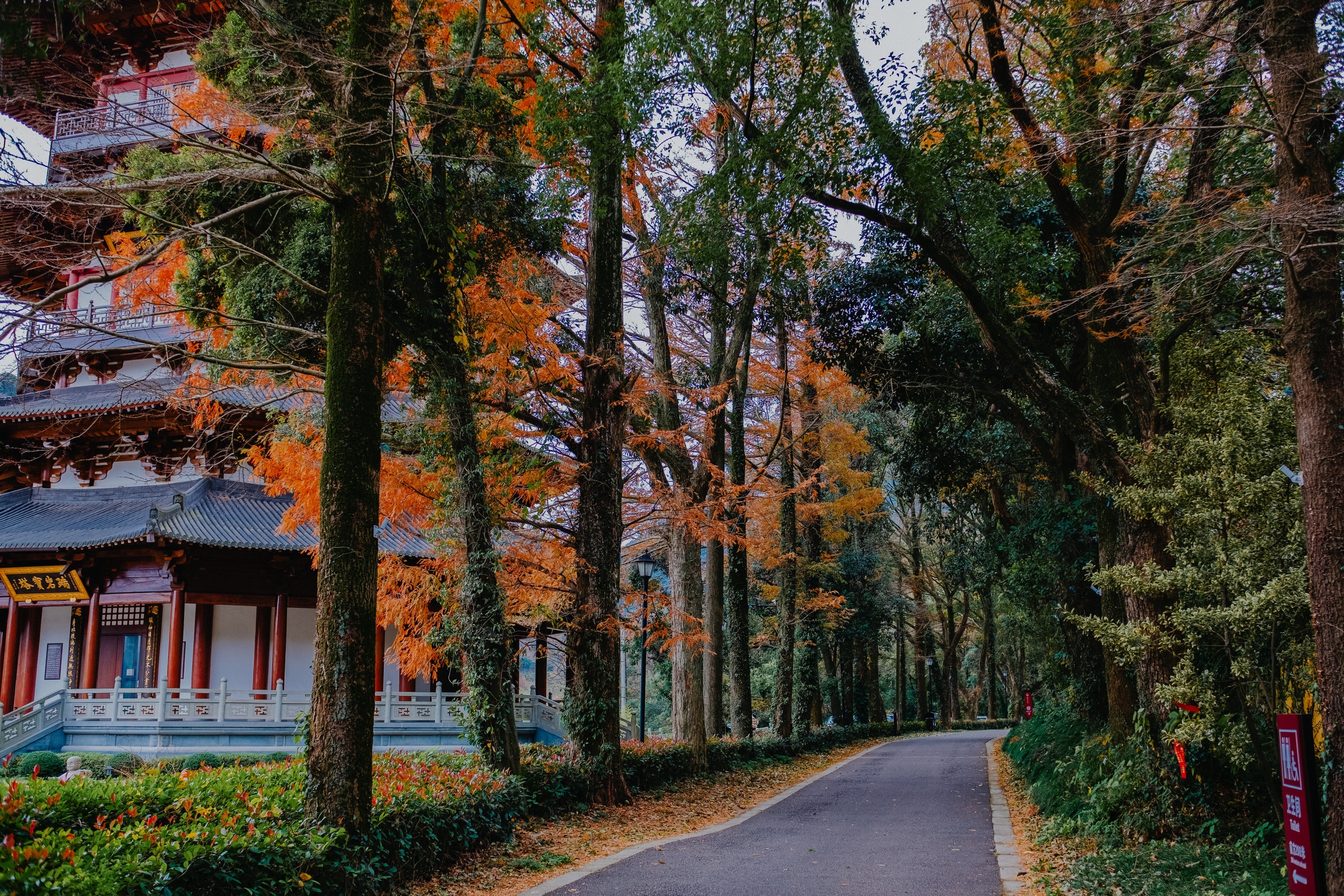 深秋,走进宁波北仑九峰山瑞岩景区!