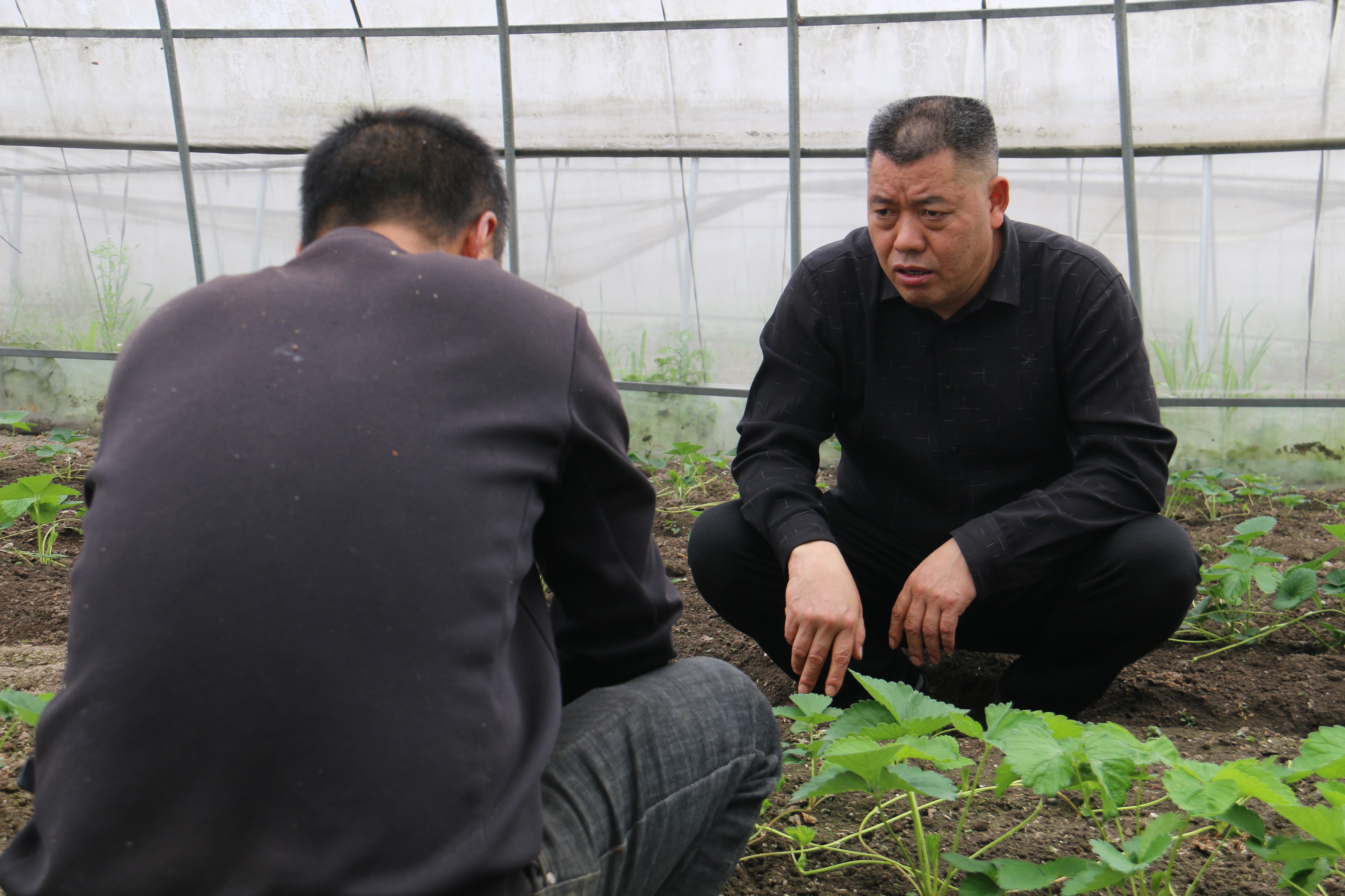 熊建辉:履职尽责守初心 真抓实干促振兴