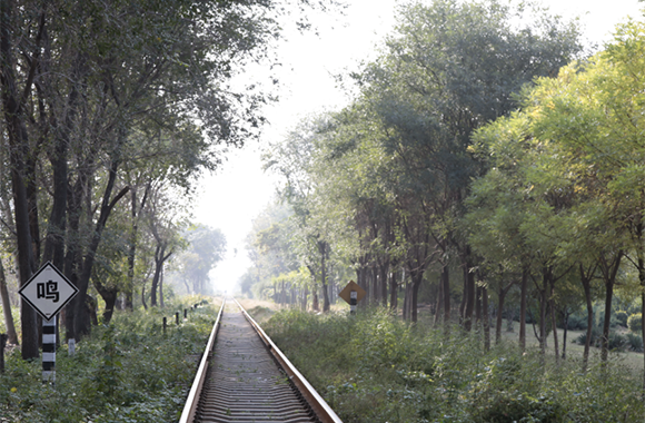 廢棄鐵路再利用,天津規劃環城鐵路綠道公園