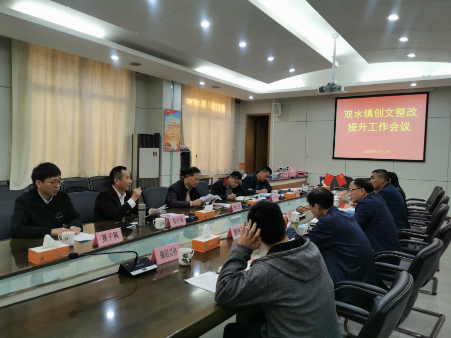 郑少强局长到新会区双水镇开展创文整改督导检查