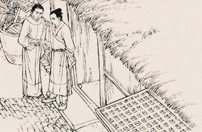 民间怪谈:吃人的蝴蝶