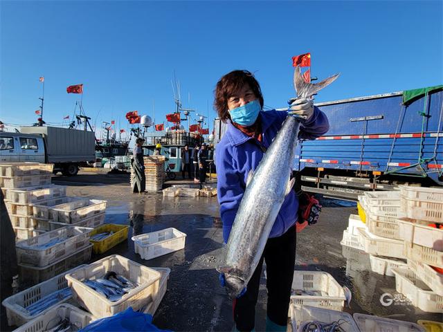 青岛积米崖码头图片