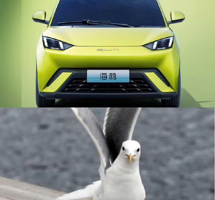 比亚迪海鸥最新谍照曝光,外观设计有哪些看点?