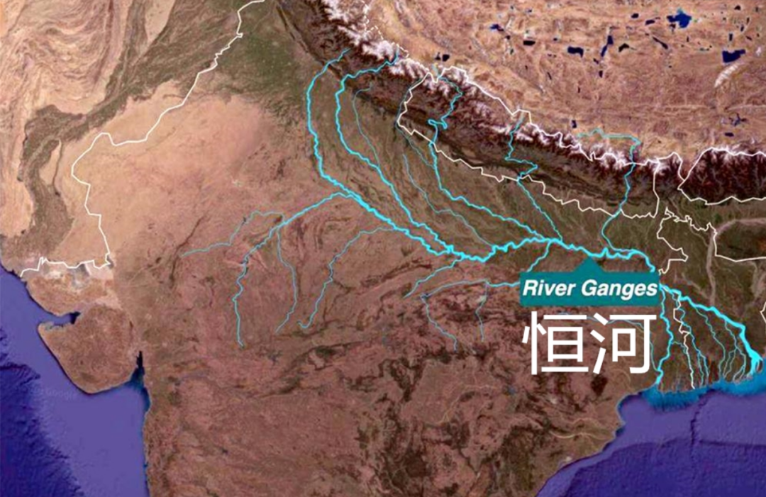 印度的"恒河之殇":500万只甲鱼毒素渗入骨髓,为何无接盘侠?