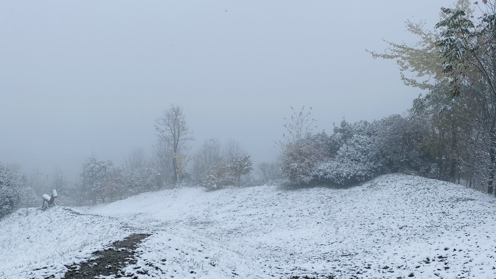 什邡蓥华山迎初雪!红叶白雪辉映,秋景冬景同框