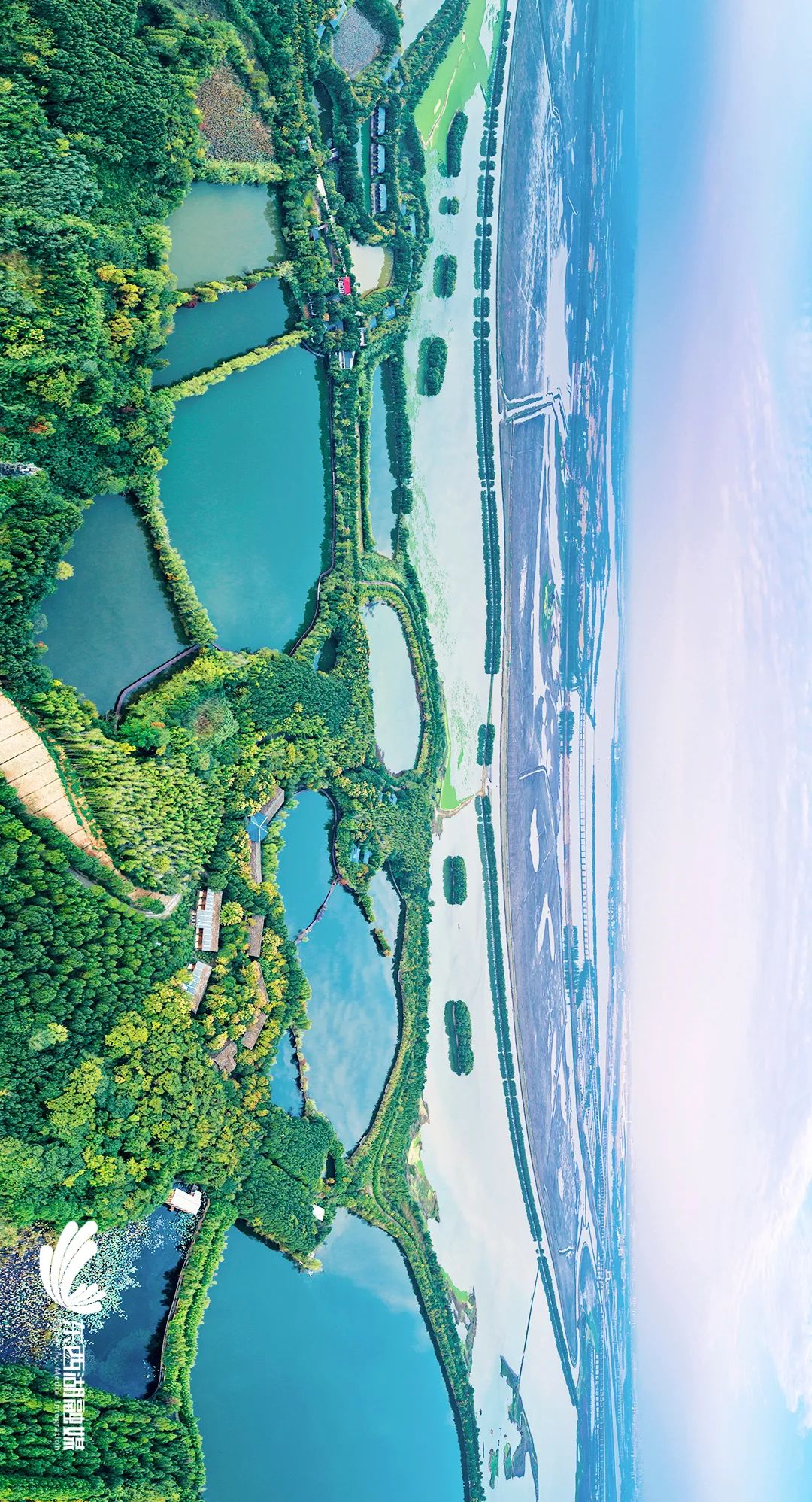 东湖西湖东西湖