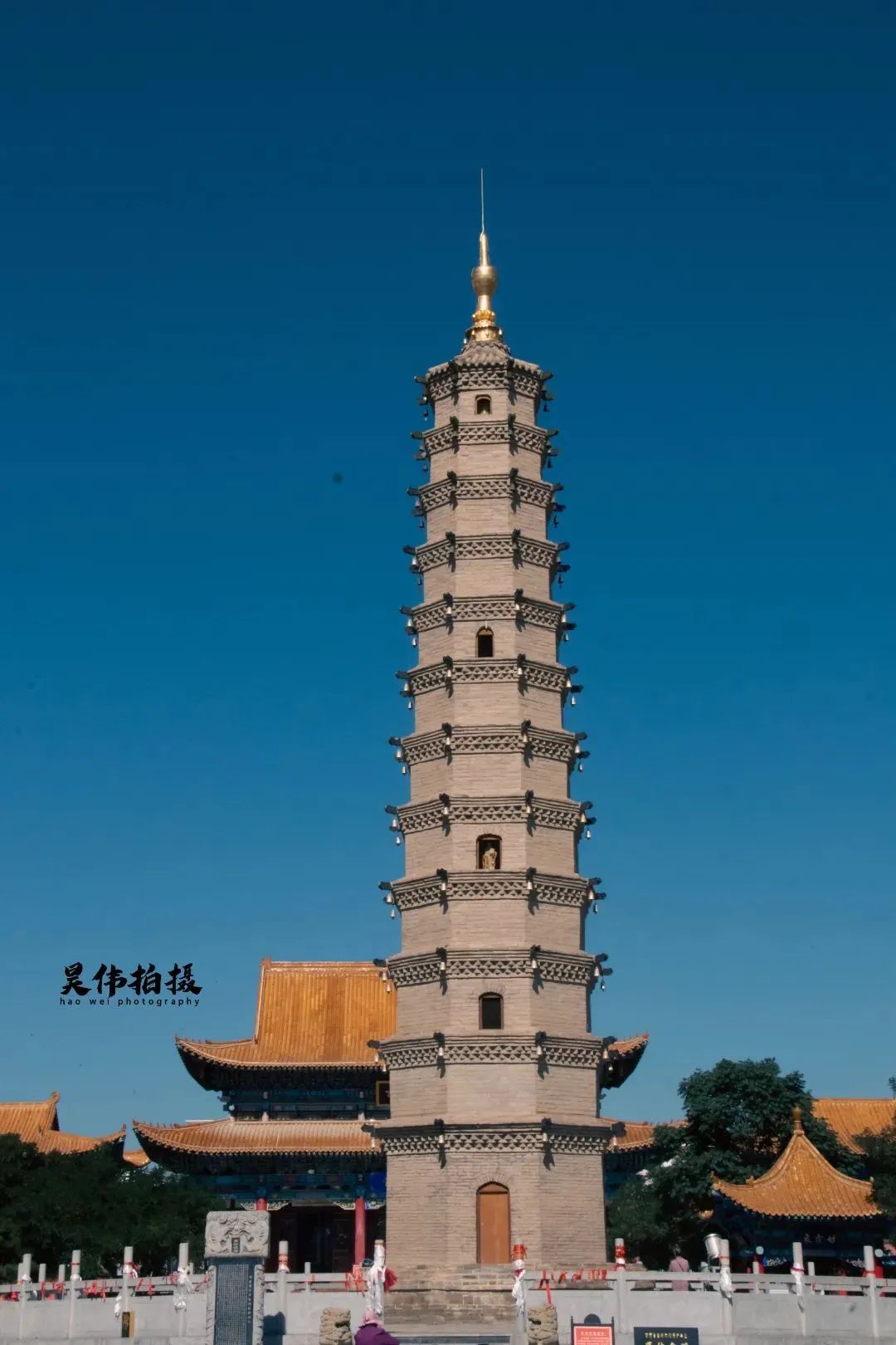 春光万道,武威这些地方帮你充电回血!