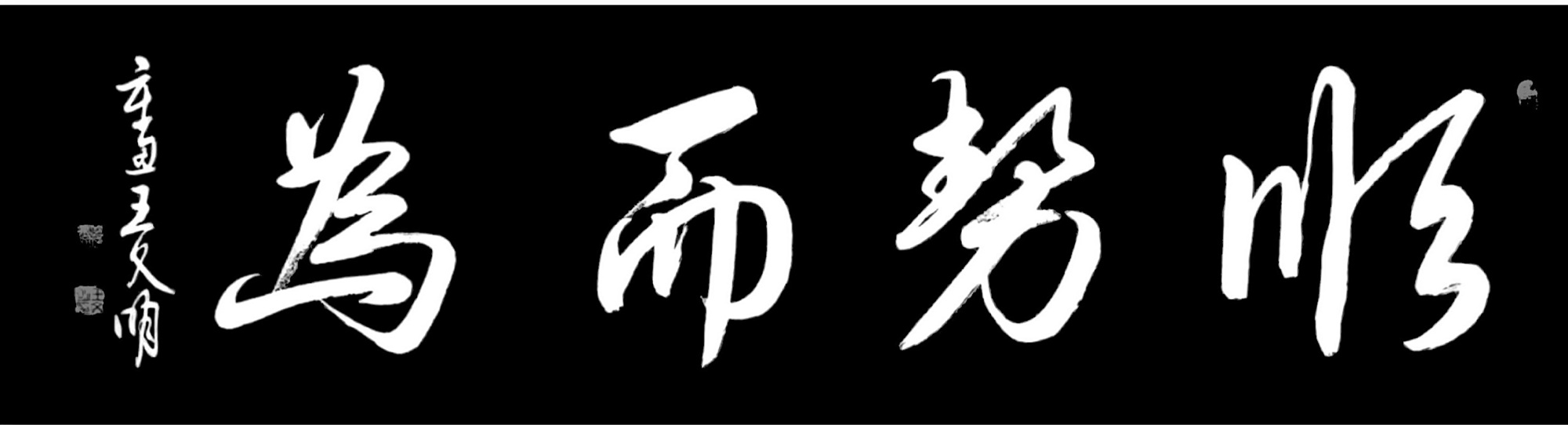 王文明书法欣赏:顺势而为