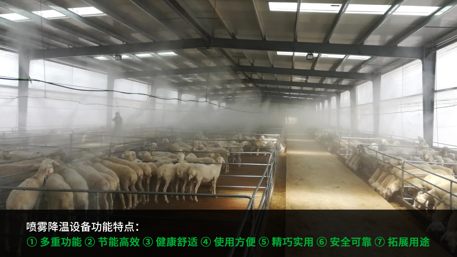 喷雾降温设备养殖场解决方案
