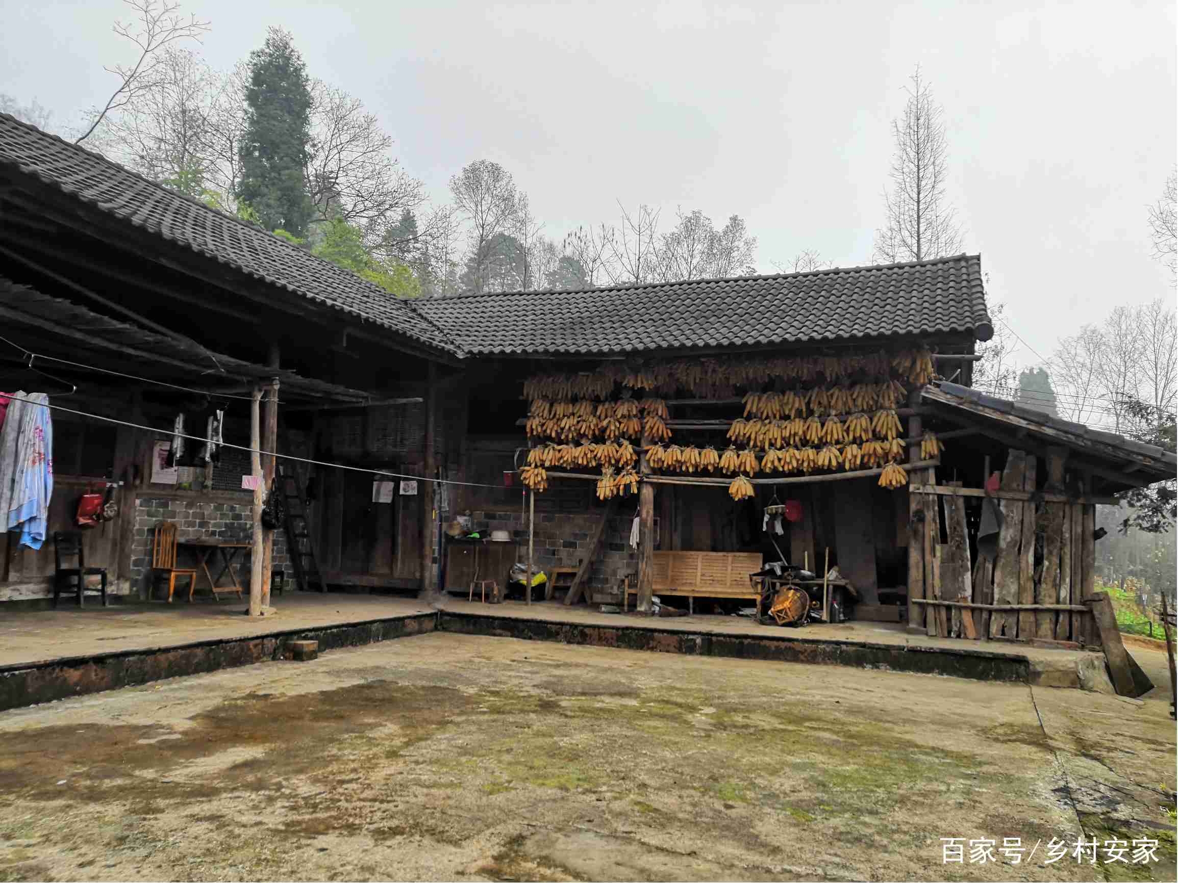 乡村院子菜谱（乡村庭院菜园花草图片） 墟落
院子菜谱（墟落
庭院菜园花草

图片）《墟落什么意思》 菜谱资讯