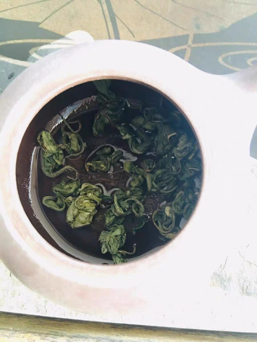 不含糖份的甜茶——广西甜茶