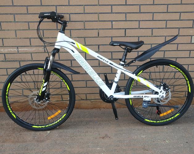 阿米尼自行车是名牌吗