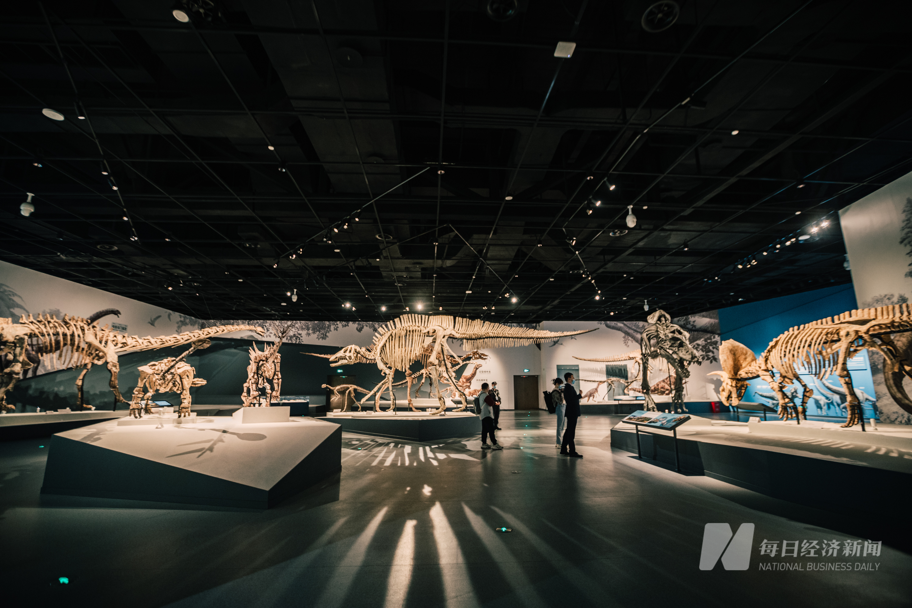 探馆|成都自然博物馆:一场穿越亿万年的时光旅行