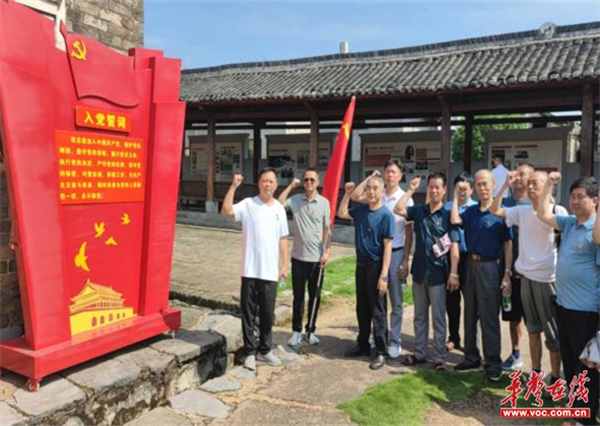 桂阳县莲塘镇光明中心学校开展主题党日活动