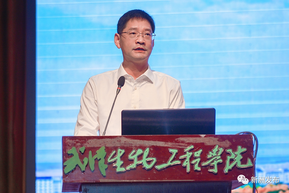 赵利洪:新洲是青年展示才华,实现梦想的希望热土