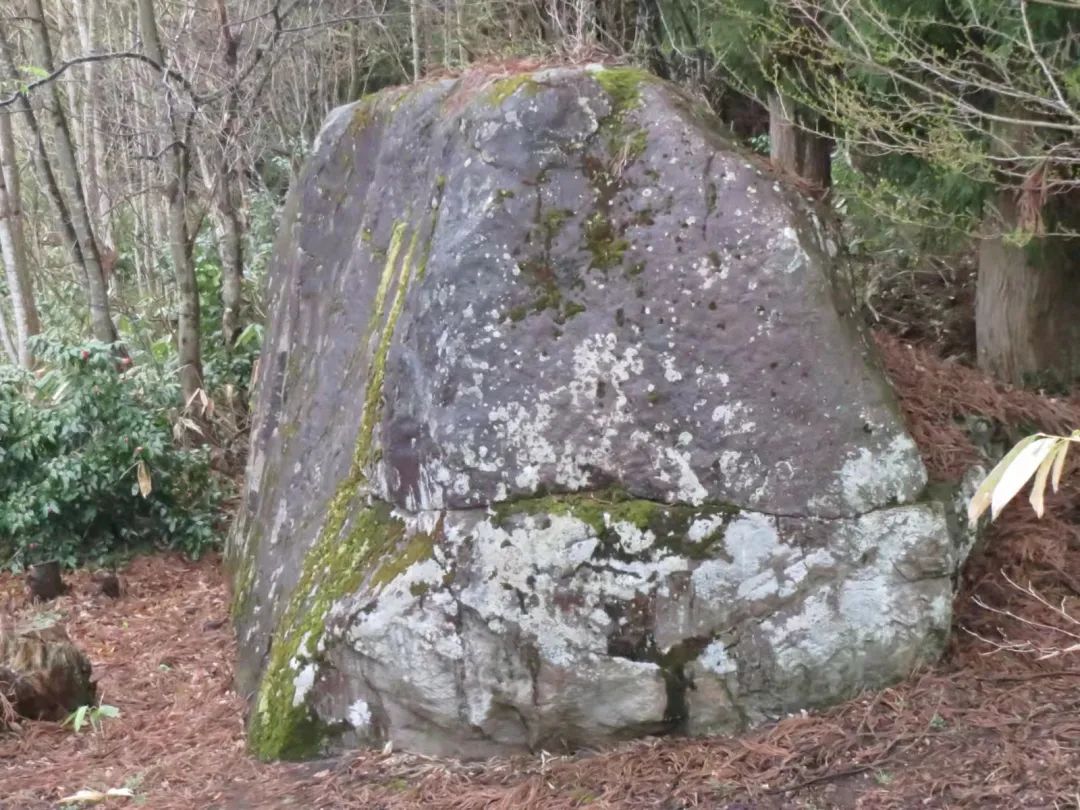 日本传说封印九尾狐的杀生石裂成两半了网友是挣脱封印来上海就业川沙