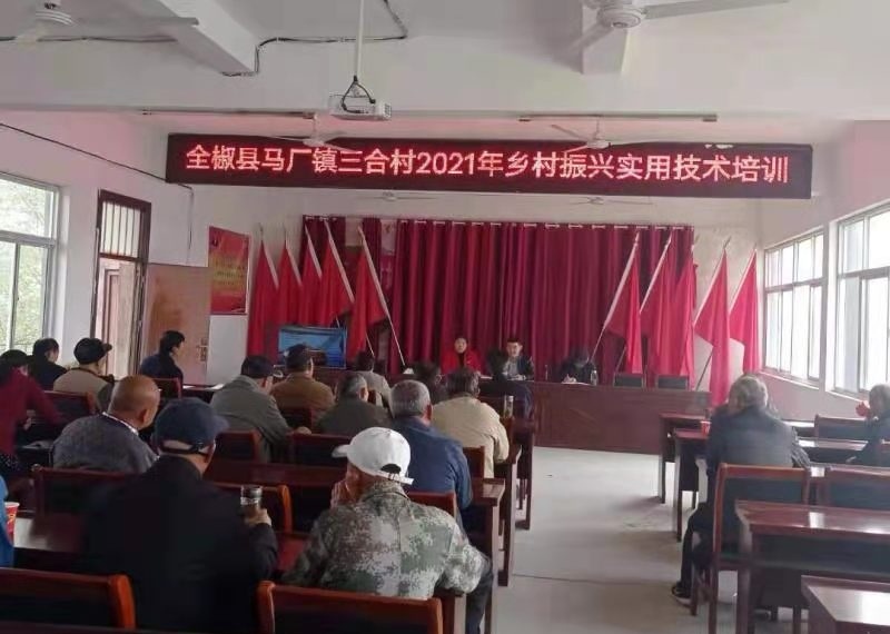 安徽全椒县马厂镇召开乡村振兴实用技术培训会