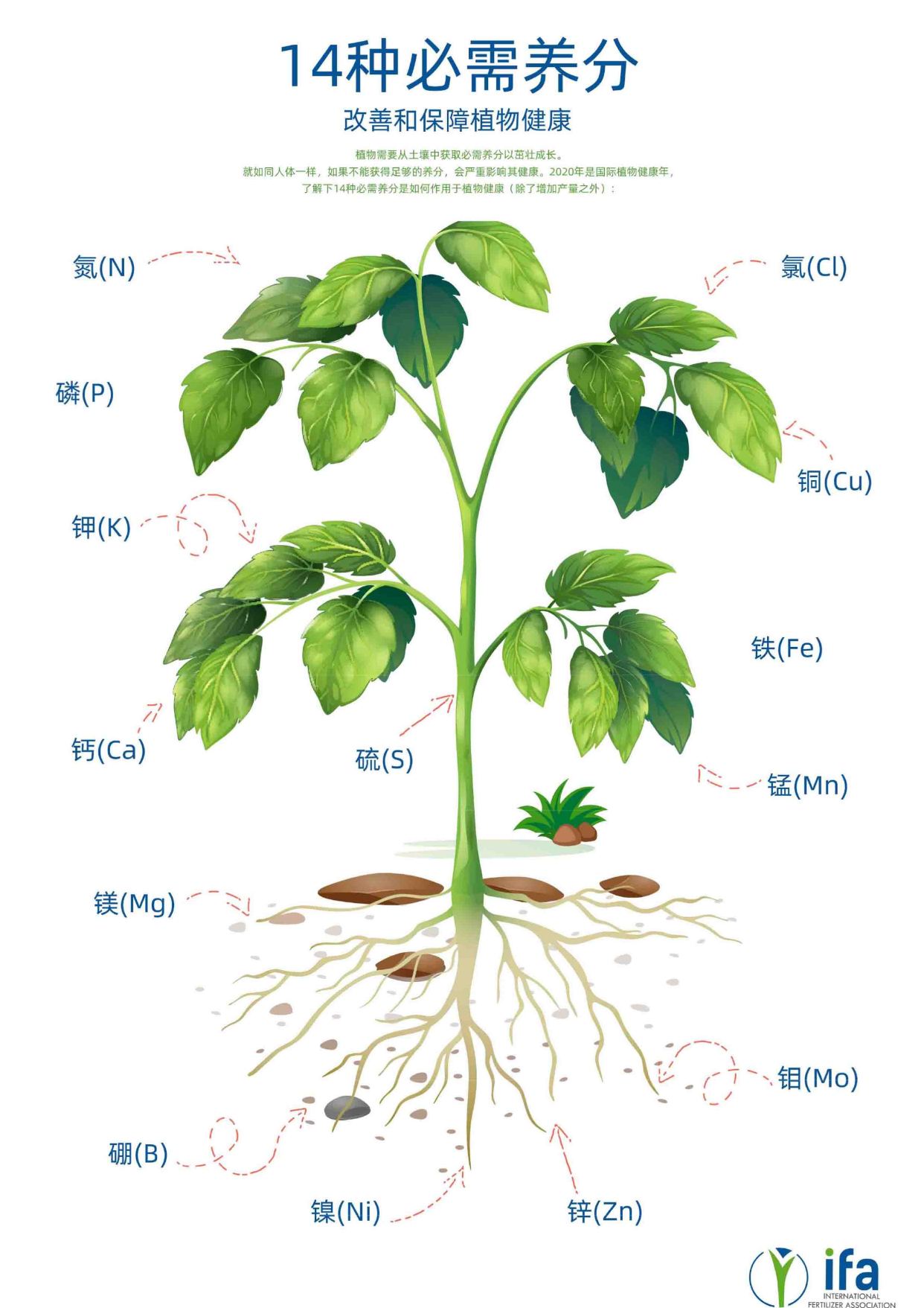 植物必需的营养元素