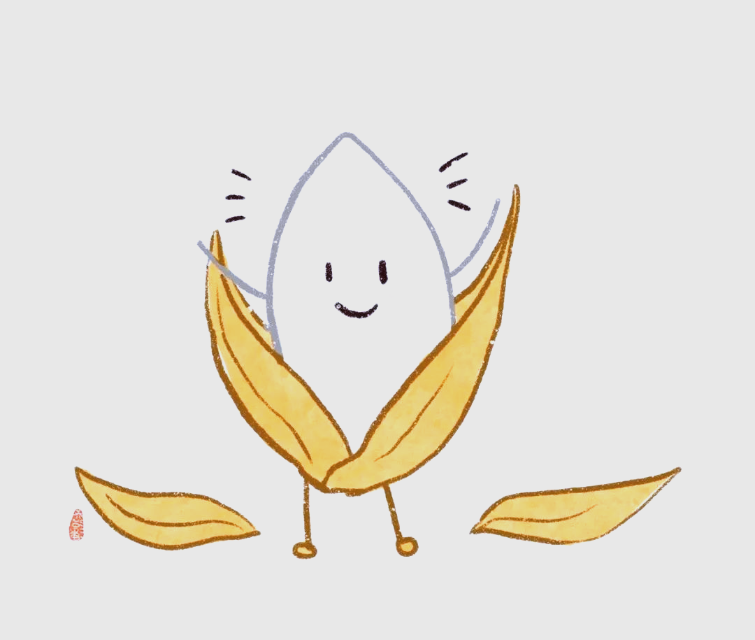 水稻生长全攻略:从播种到收割的艰辛历程