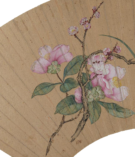 既可夏日"扇风取凉"又可做科普工具,看折扇如何优雅科普!