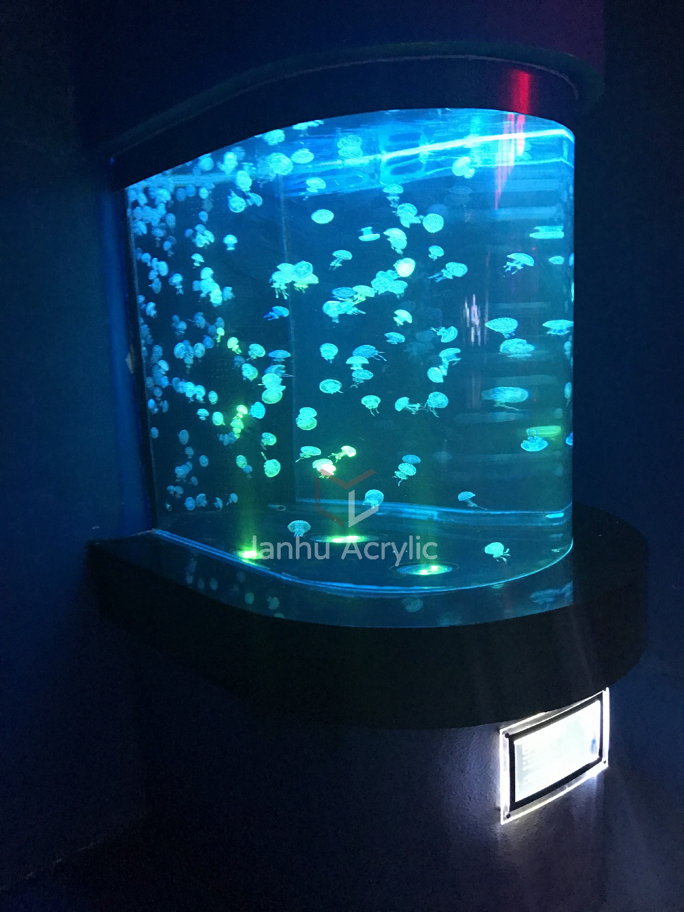 海洋馆梦幻水母缸介绍