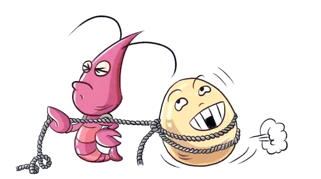 探讨"扯淡"与"扯蛋"的异同与使用