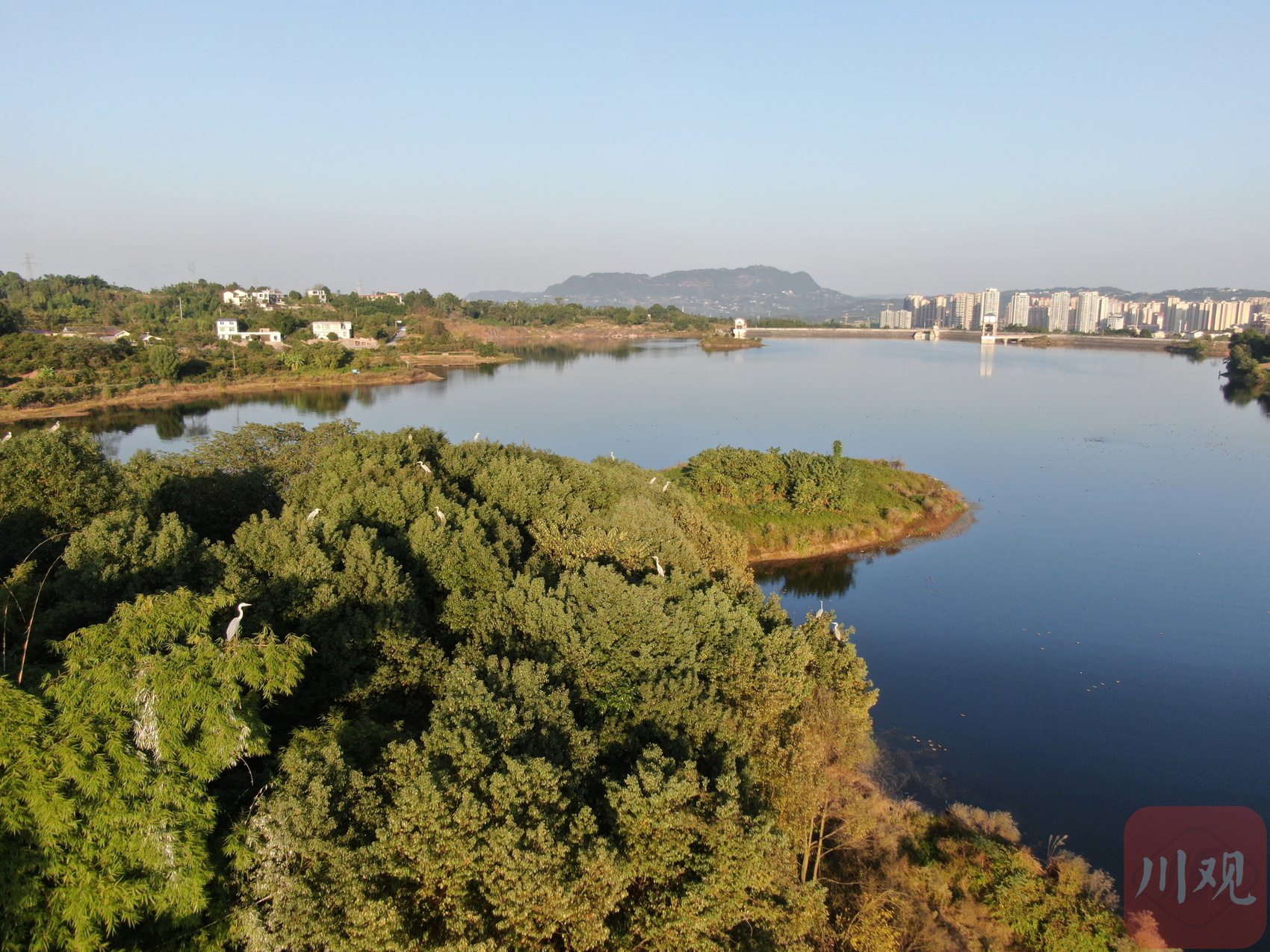 宜宾长宁:如诗如画 大批候鸟飞抵东山水库越冬