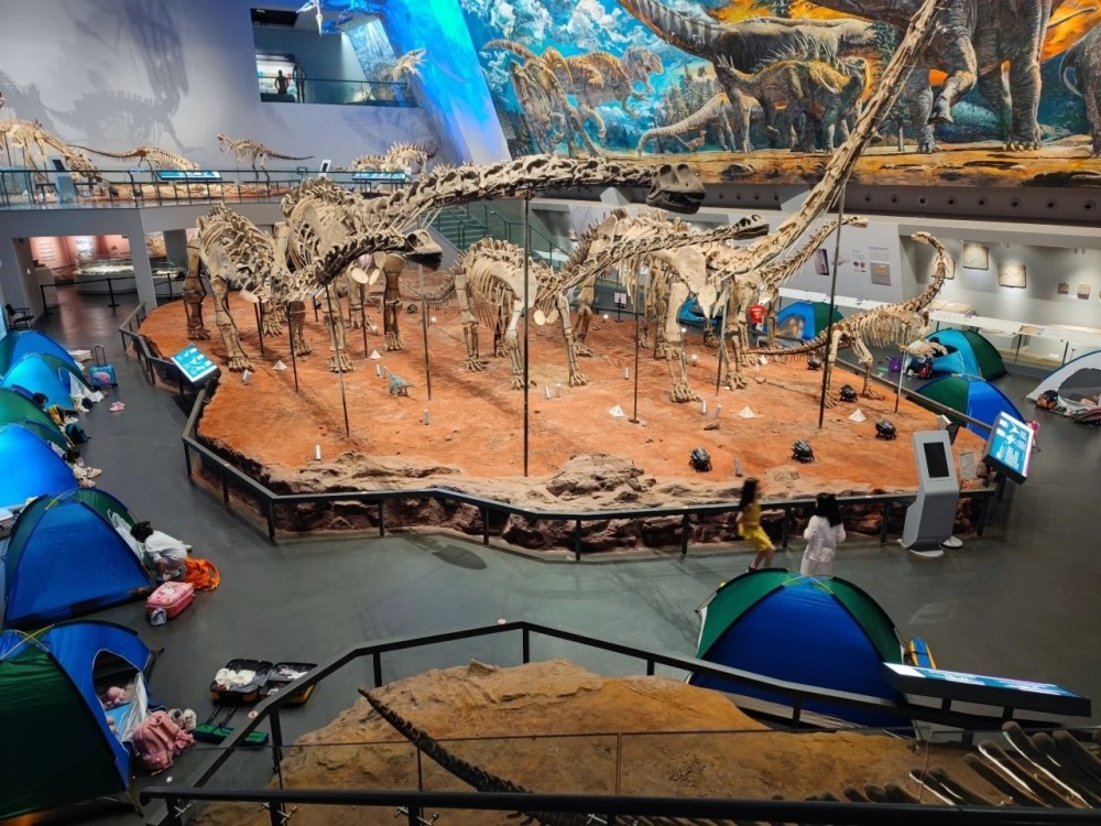 重庆自然博物馆邀你和"恐龙"共度跨年夜