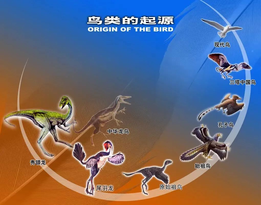 二月二龙抬头一起来与龙共舞