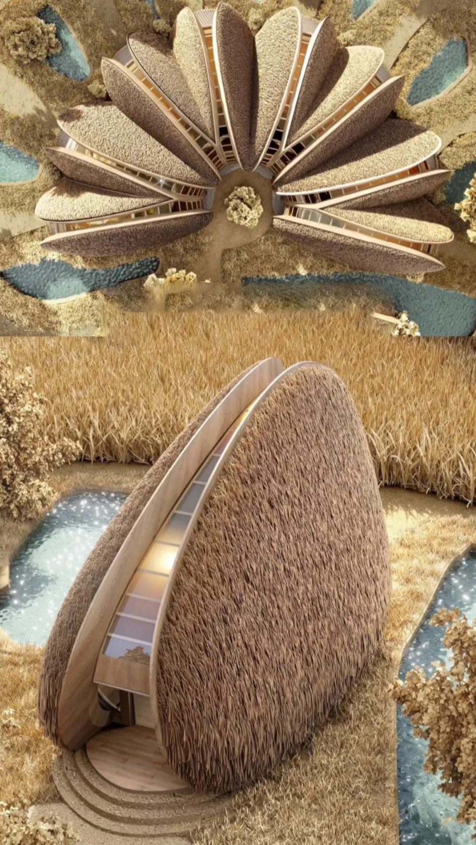 仿生建筑——贝壳型木屋