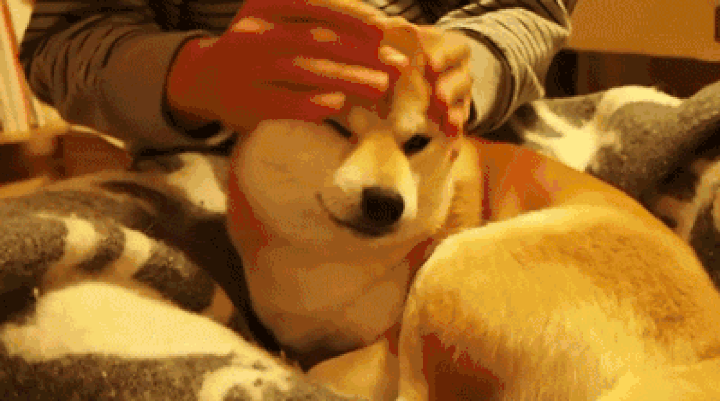 1399_780gif 动态图 动图