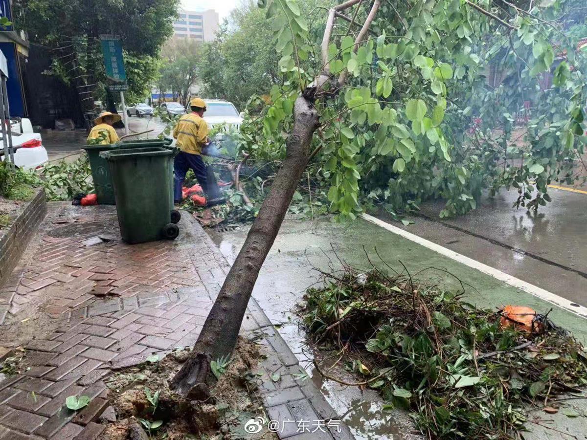 台风"查帕卡"登陆广东阳江,居民提前防护,暂无人员伤亡