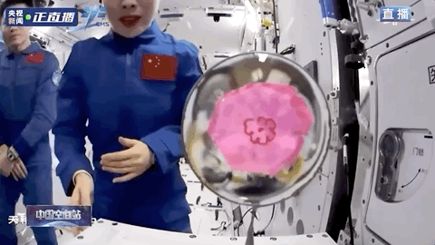 "摘星星"的妈妈回来了!王亚平给女儿摘的"星星",原来长这样