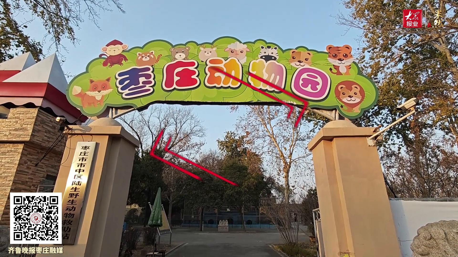 奖励多多!快给枣庄动物园这"三姐妹"取个名
