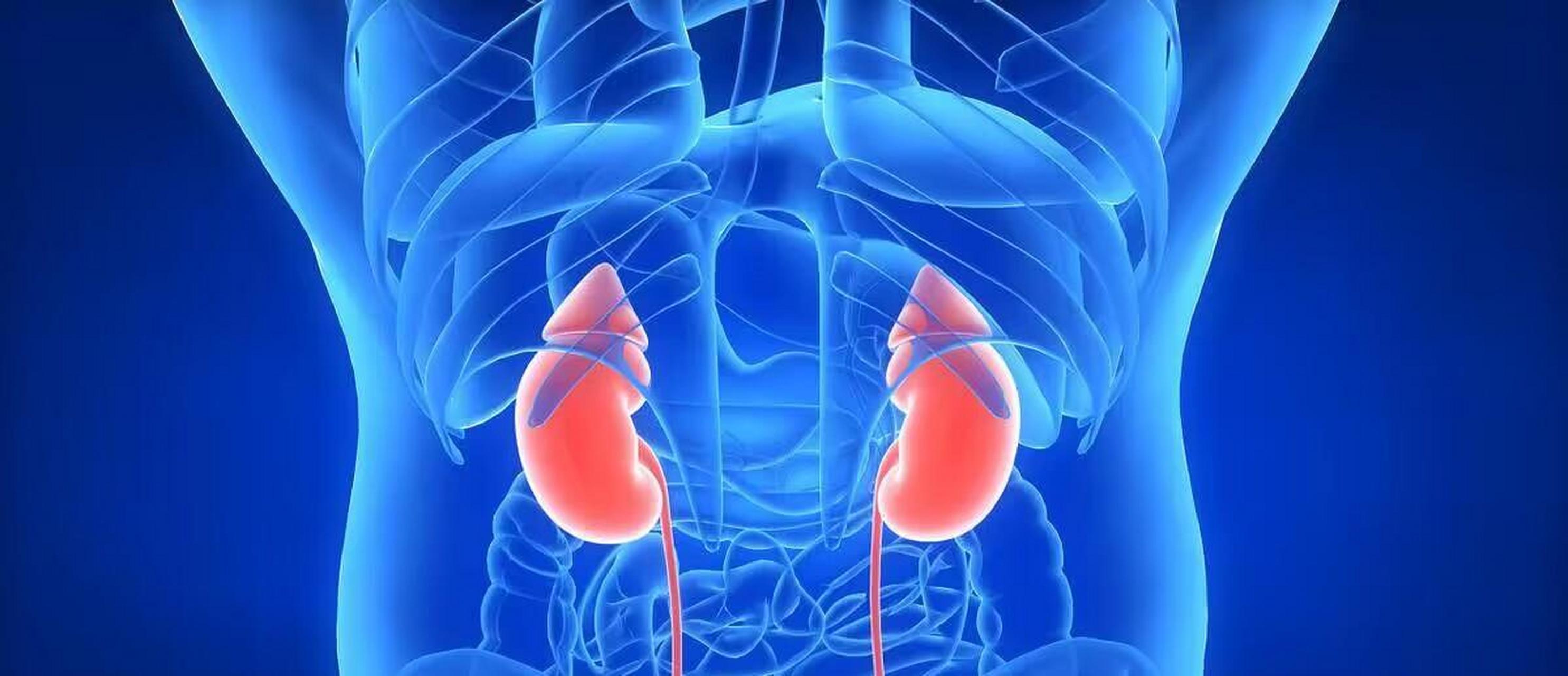 肾精不足可能会有这五个表现  肾精快用光了,身体会告诉你,千万不要