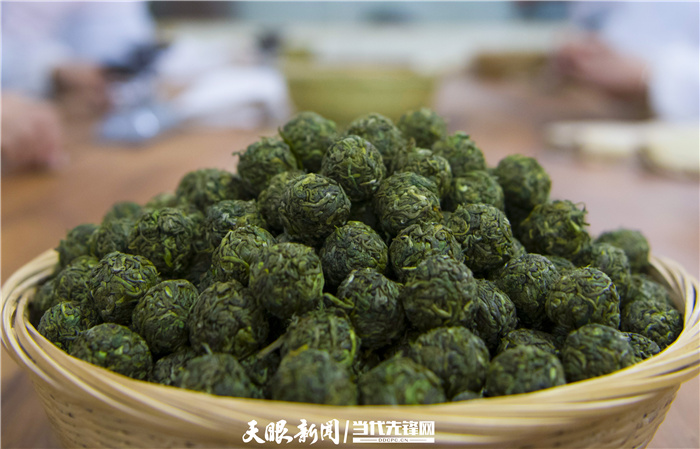 雷山县银球茶图片