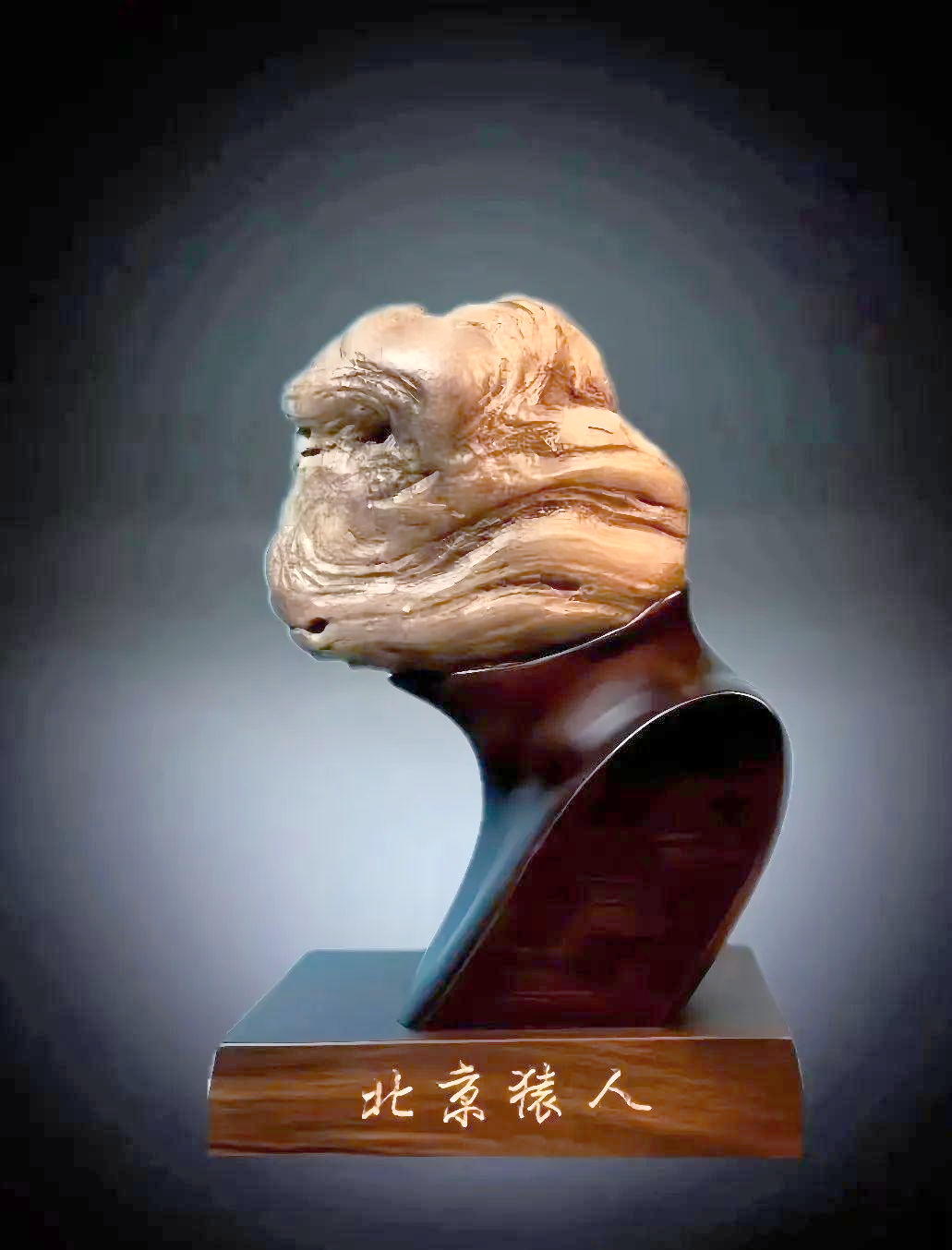 自然观赏石艺术中的北京猿人形象探究