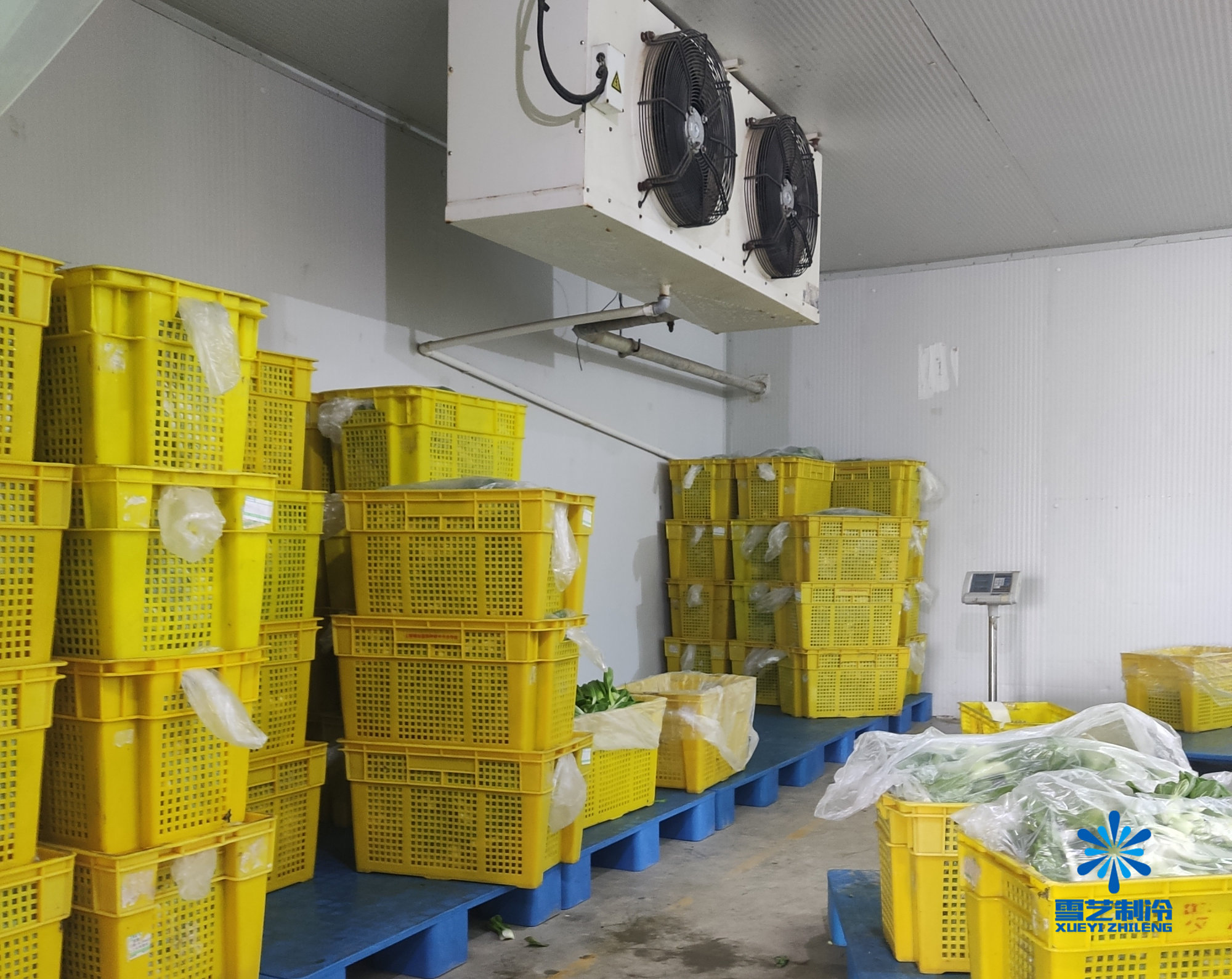 冷库- 热门商品专区