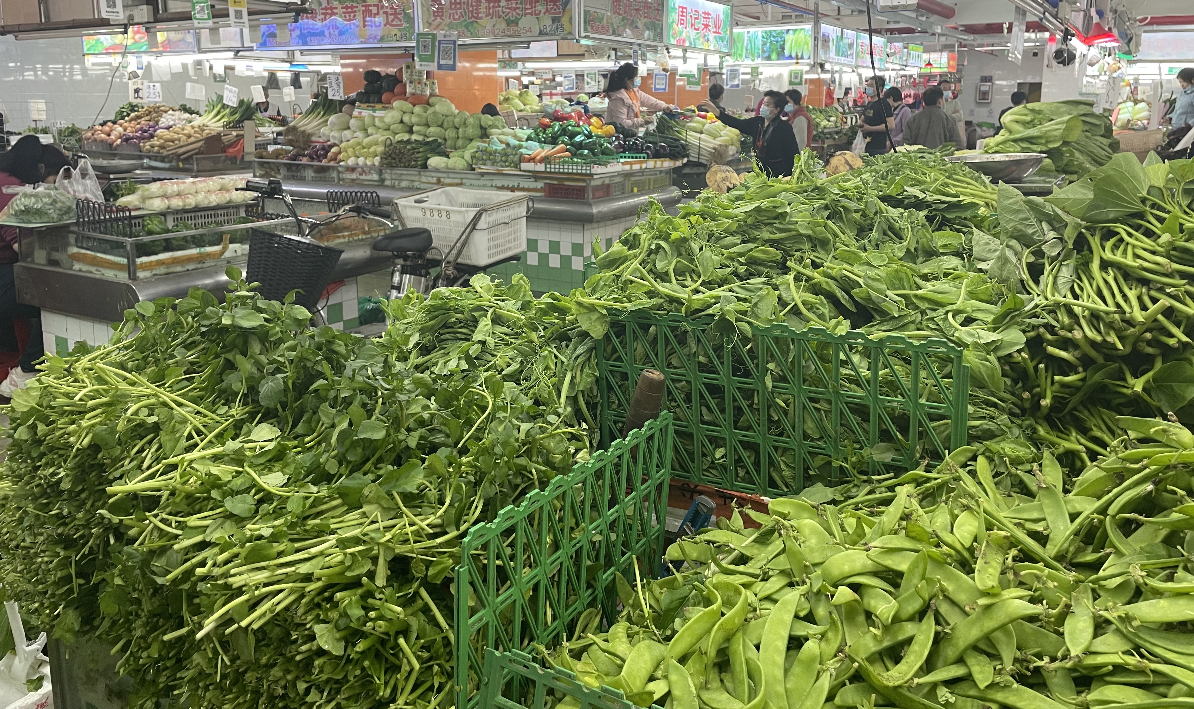 节后广州江南市场蔬菜价格下降,豆类蔬菜跌幅较大