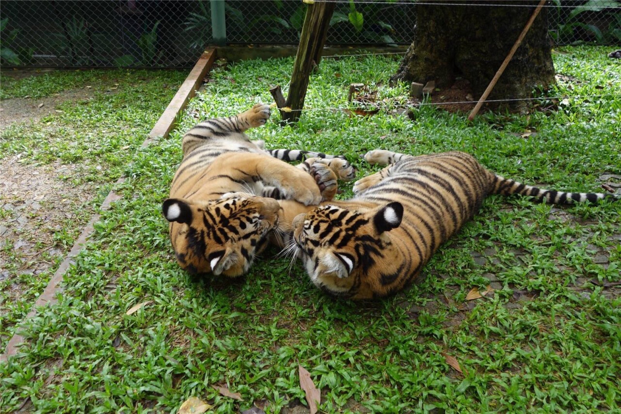 强推5本洗眼睛的网络小说,网文界的一股清流,看得很舒心