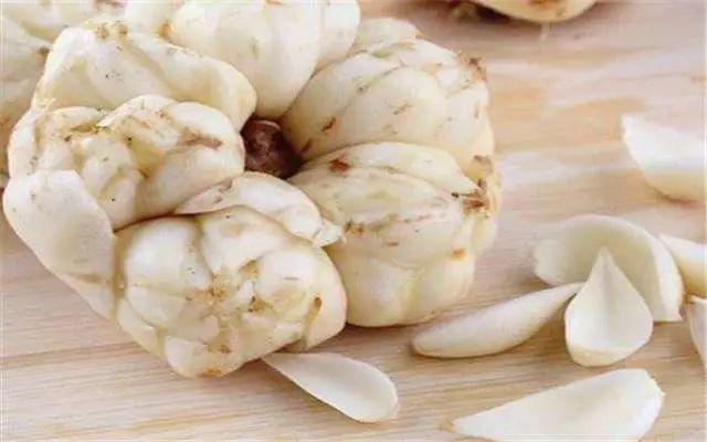 秋天润燥,"菜百合"不能替代药用百合,你知道吗?