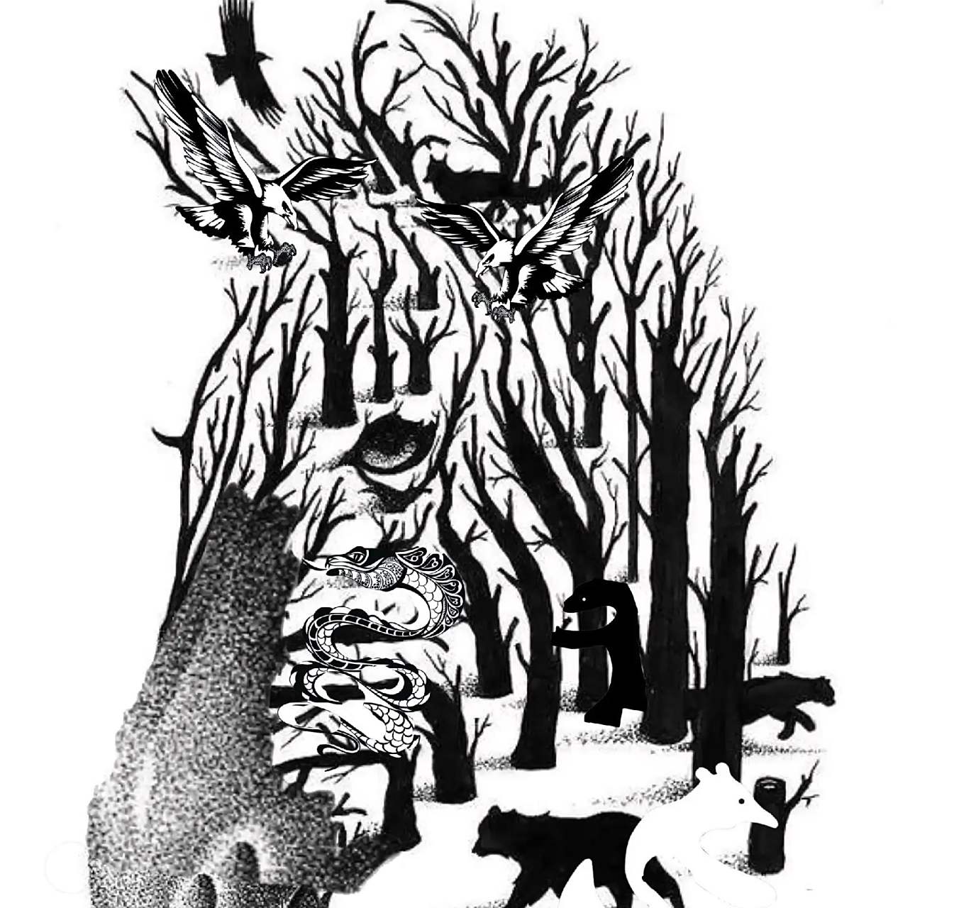 考眼力 图中有几种动物 找出 7 种,视力模糊. 找出 8 种,视力正常.