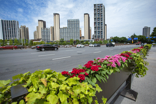 绿化养护"到边到角" 开启城市美颜模式