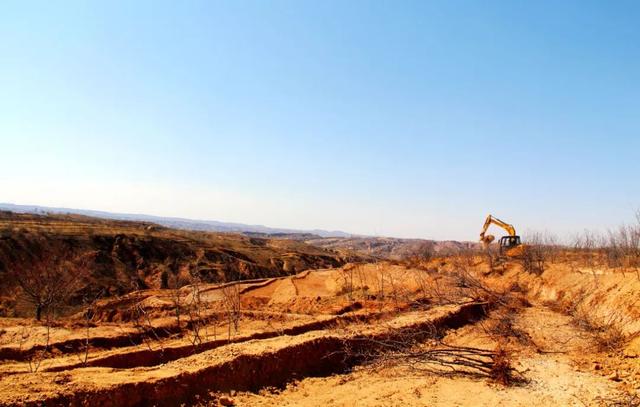 准格尔旗龙口镇播下"兴"希望